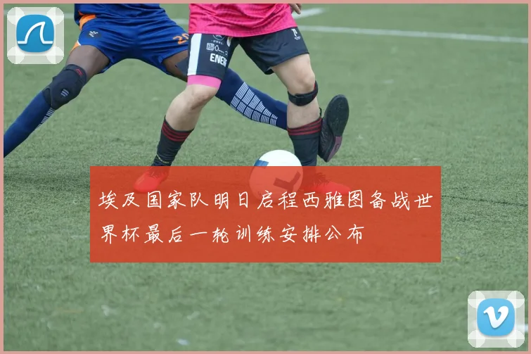 埃及国家队明日启程西雅图备战世界杯最后一轮训练安排公布
